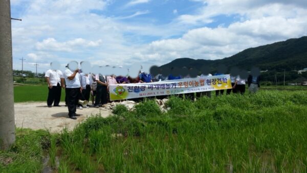 친환경 벼재배농가 우렁이농법 현장견학